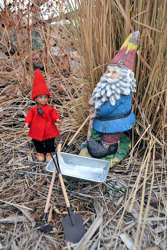 Fina Meets the Gnome