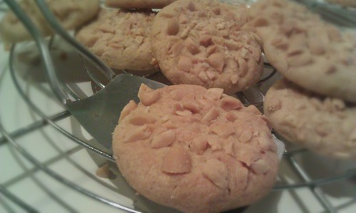 Een aantal koekjes half gestapeld op een koelrek, wat pinda's die er afgevallen zijn er onder. Een koekje ligt op een klein metalen koekjesspatel.