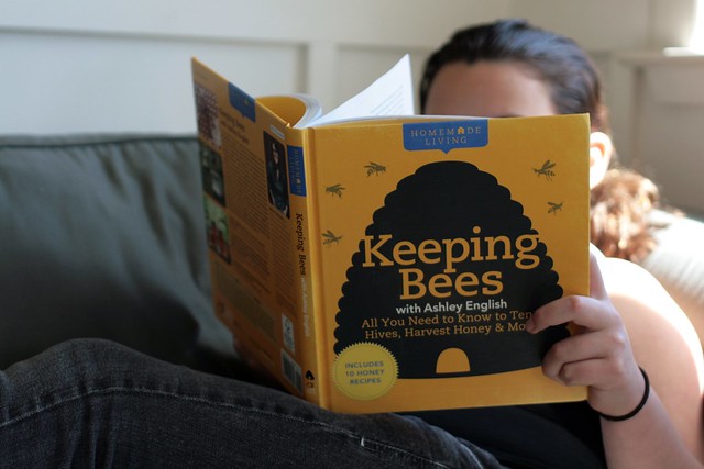 keeping bees - book giveaway!