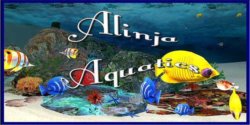 Alinja Aquatics Logo