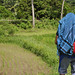 rice fields in catanduanes
