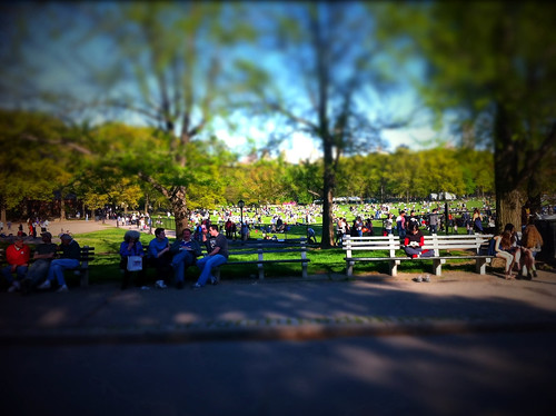 Busy day in Central Park