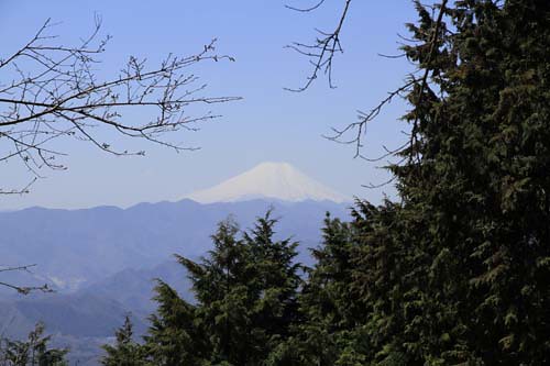 明王峠の富士山