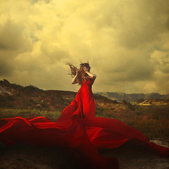 a storm to move mountains by brookeshaden