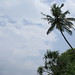 SriLanka2011 030