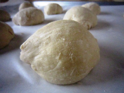 Yeast rolls before baking, take one