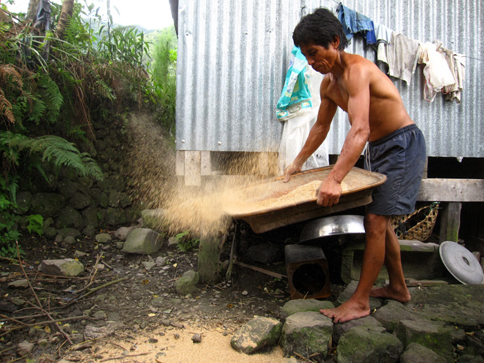 Sifting rice at Batad