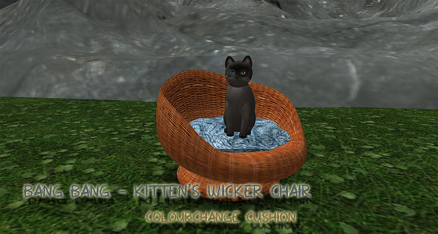 Bang Bang - Kitten's Wicker Chair