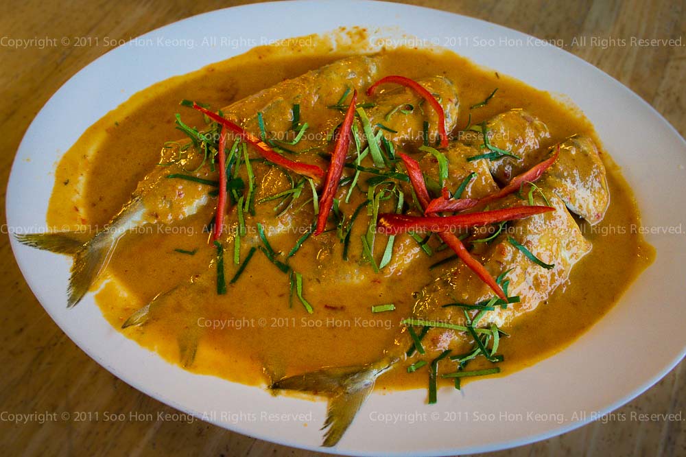 Curry Fish @ Cha Am, Thailand