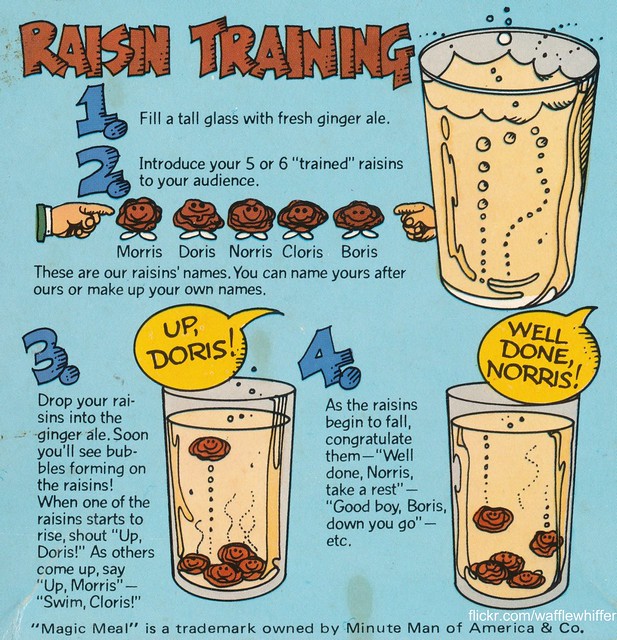 Raisin Training - 1981