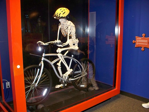 Skeletal bicyclist