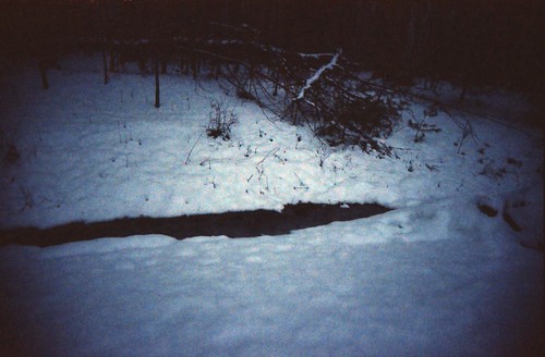 Nº 80 of 365 days of film: Snowy Stream by Penlington Manor