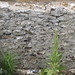 Old foundation wall