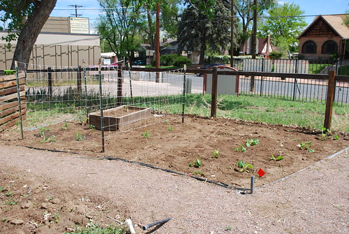 Newly Planted Garden