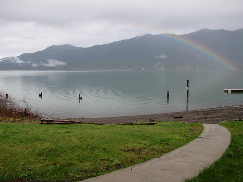 Lake Quinault rainbow