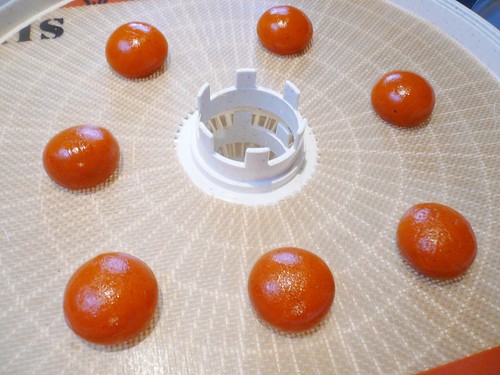 Dehydrating the curry spheres