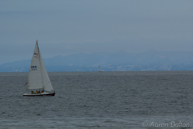 Two Sailboats Before Santa Cruz Island