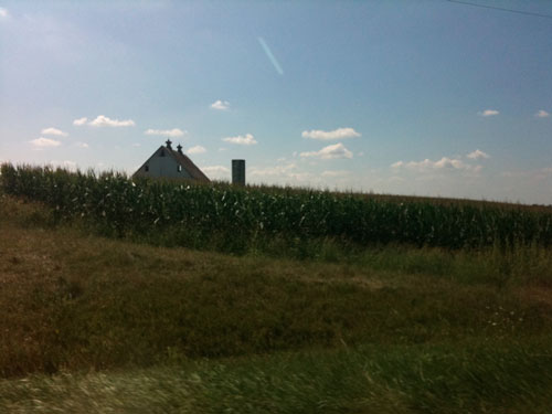 cornfield in souther ohio