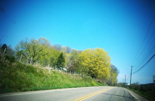 spring road