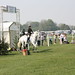 Enter Show Jumping