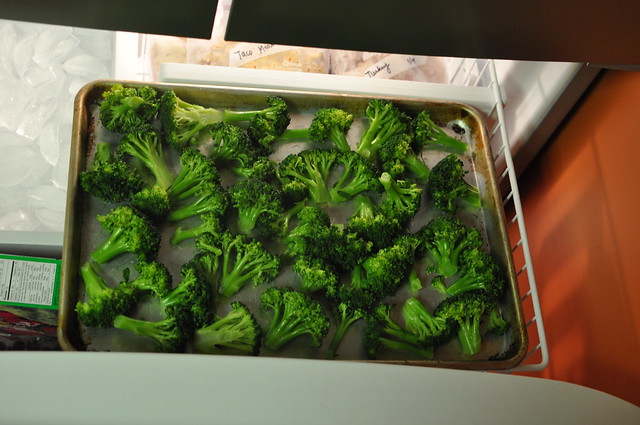 Freezing Broccoli