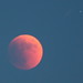 Lunar Eclipse of the Full Moon (Part 1): The Rising