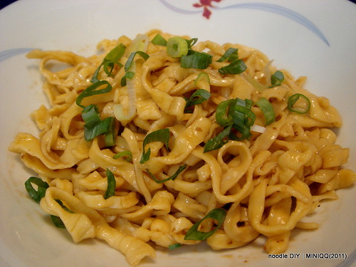 20110701  noodle DIY _10