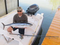 Perfect size Tuna