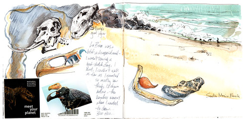 LaBrea and the Beach by Cathy (Kate) Johnson