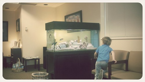 Judah checking out the fish at the ob!