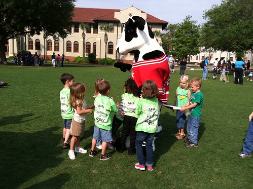Appearance from the Chik-Fil-A Cow