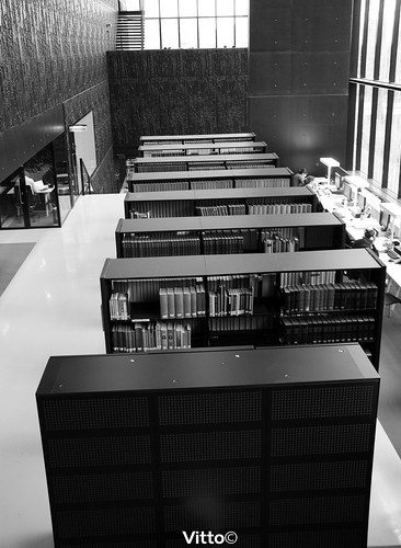 Utrecht University Library. Utrecht University Library book shelves