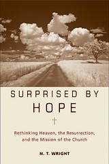 Surprised-by-Hope-1