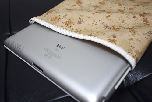 iPad2 case