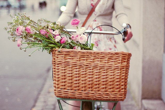begbicycles_lady