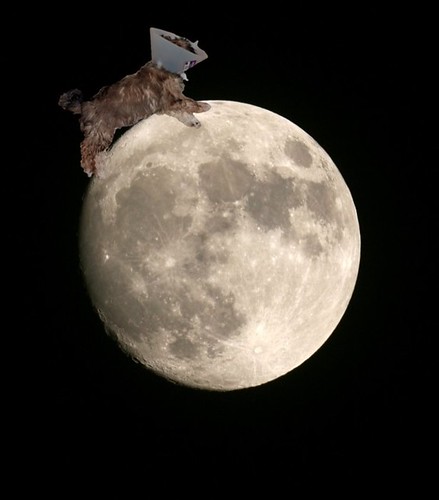 Scout on the Moon