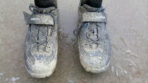 Muddy Shoes