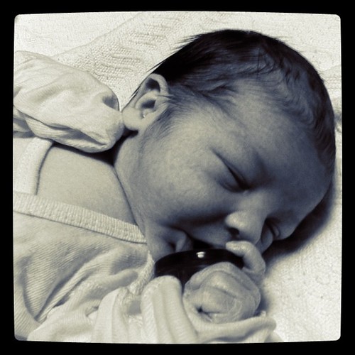 Nico: One Day Old! by tatopuig