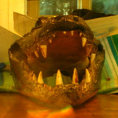 f64 alligator head