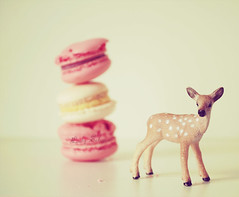 Macaron Deer ♥