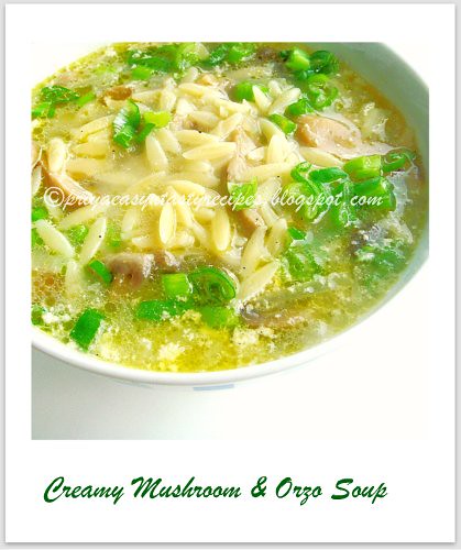 Creamy Mushroom & Orzo Soup