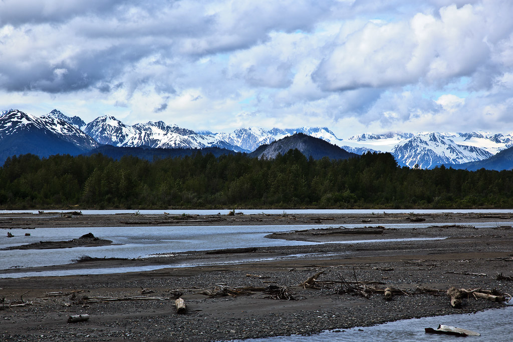 Driftwood on the Chilkat River