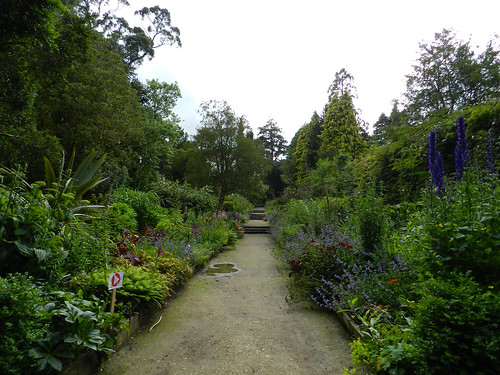 Kilmacurragh Arboretum