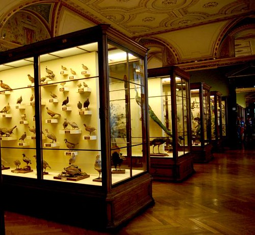 Naturhistorisches (Natural History Museum)