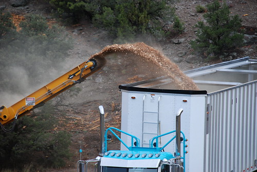 A truck is filled with wood chips as part of the process of turning wood into energy 