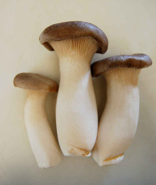 MushroomPartyB