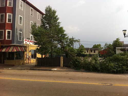 Tree damage on Atwells Avenue