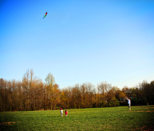 Family Kite Flying