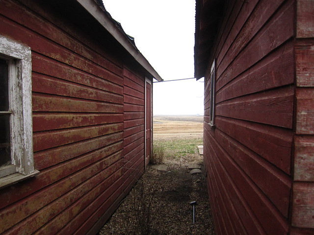 Two Old Sheds