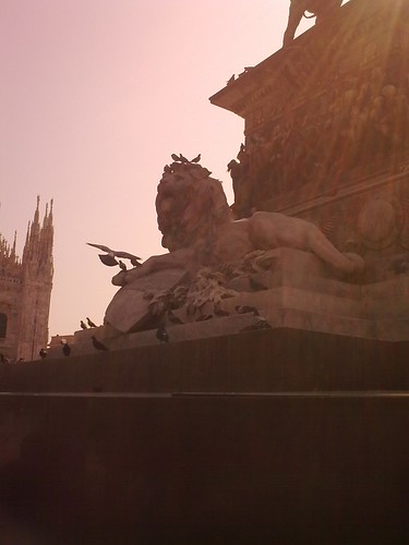 lion and pigeon